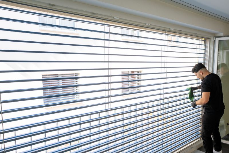 Roman Shade Cleaning in Madison, WI