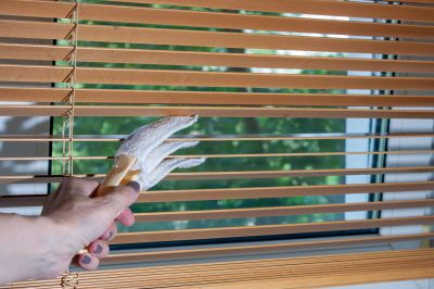 Vertical Blind Cleaning