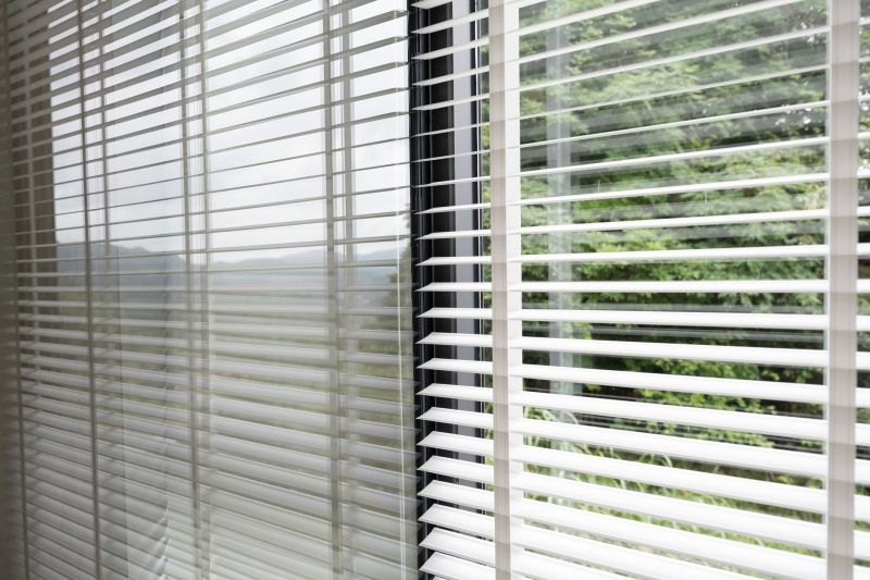 Who Does Vertical Blind Cleanings